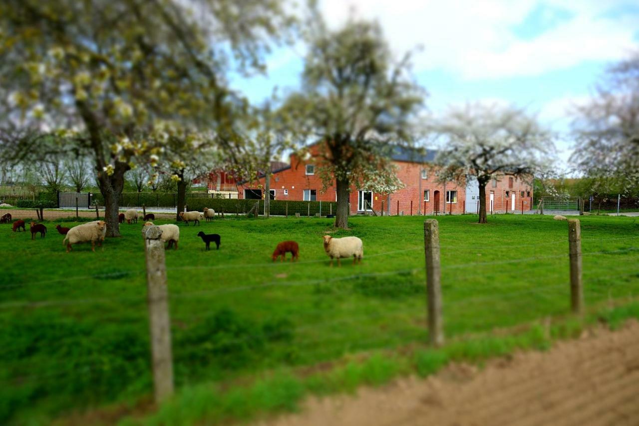 De Smishoeve Met Speelruimte, Dieren En Wellness Heers Exterior foto